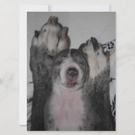 Invitación al cumpleaños de Great Dane