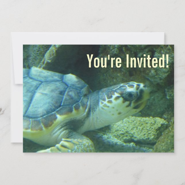 Invitación al cumpleaños de la tortuga marina (Anverso)