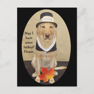 Invitación al Día de Acción de Gracias