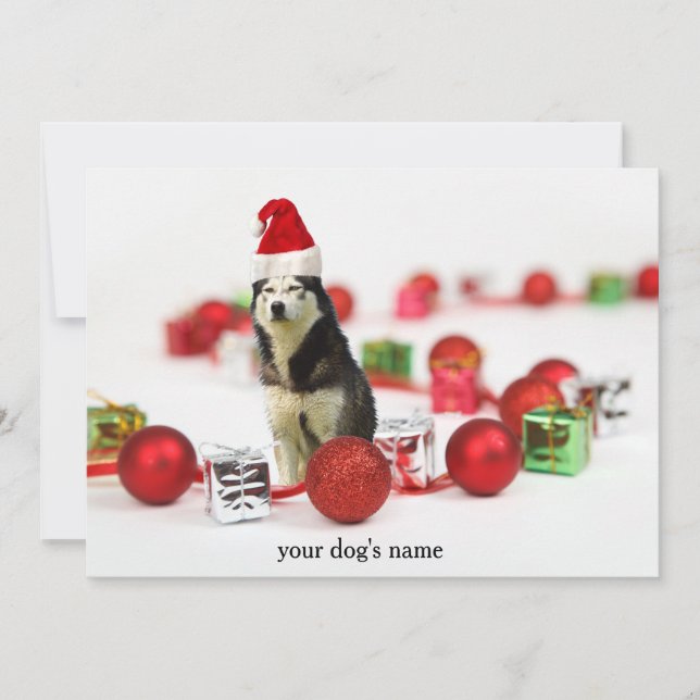 Invitación al festival de Navidad Siberian Husky (Anverso)