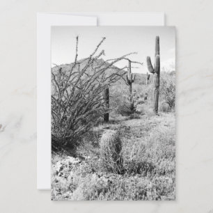 Invitación al Jardín Cowboy (Desierto de Sonora AZ