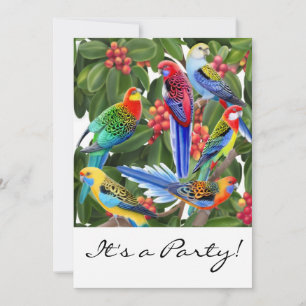 Invitación al Personalizable de Rosella Parrots