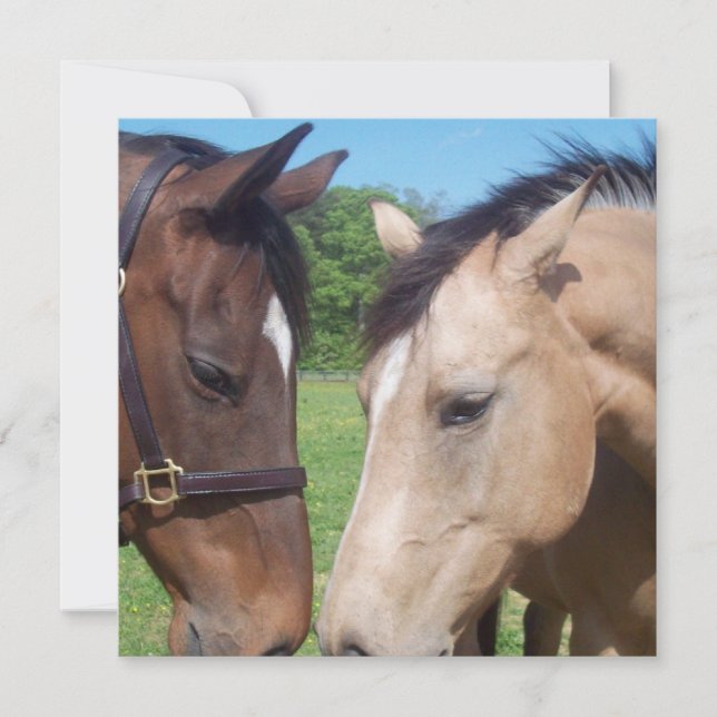 Invitación al romance del caballo (Anverso)