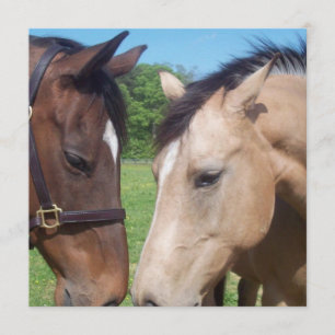 Invitación al romance del caballo