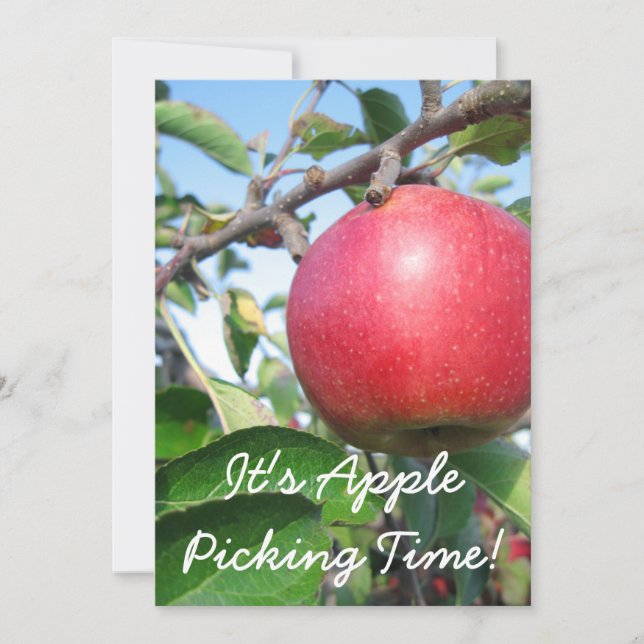 Invitación al tiempo de cosecha (Anverso)