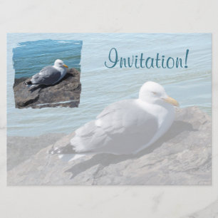 Invitación Alarma de gaviotas arenques en Rock Jetty: