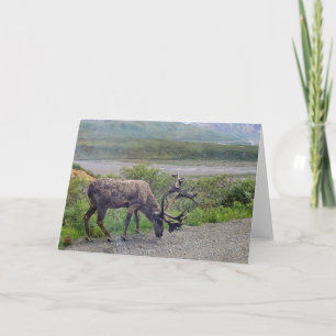 Invitación Alaska - Caribou 1