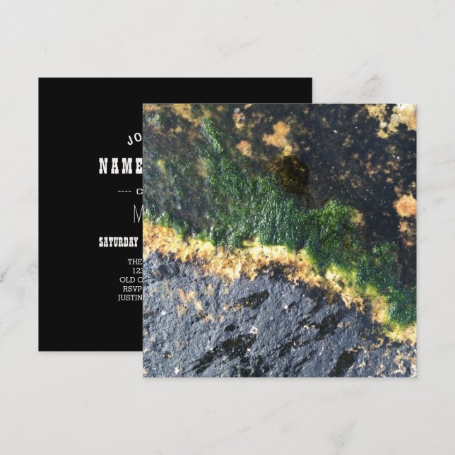 Invitación algas marinas (Anverso / Reverso)