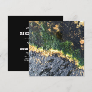 Invitación algas marinas