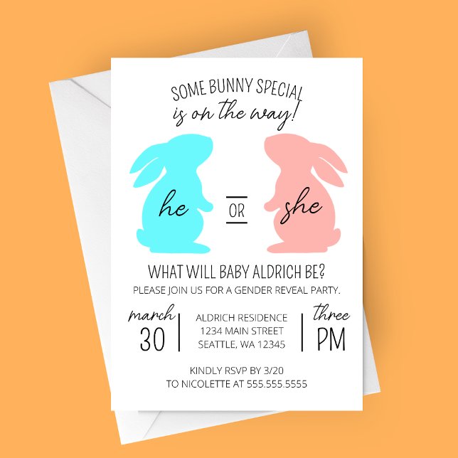 Invitación Algunos Fiestas especiales de revelación de género (Bunny on the Way Modern Gender Reveal Party Invitation with Blue and Pink Bunnies)