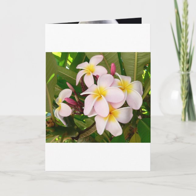 Invitación Aloha Hawaii Frangipani florece ducha de novias (Anverso)