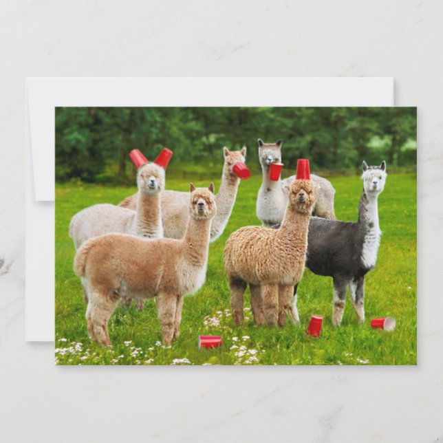 Invitación Alpacas con tazas rojas (Anverso)