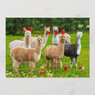 Invitación Alpacas con tazas rojas