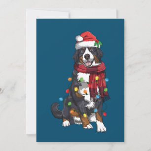 Invitación Amante Divertido De Perro De Navidad Montaña Berne