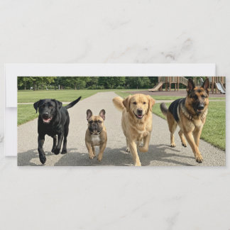Invitación Amantes de los Perros