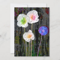 AMAPOLAS BLANCAS