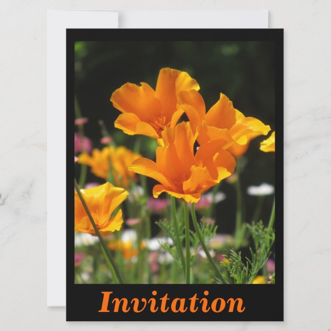 Invitación Amapolas de California anaranjadas (Anverso)