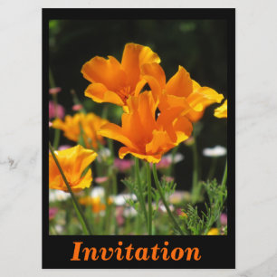 Invitación Amapolas de California anaranjadas