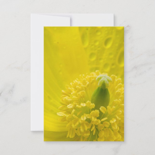 Invitación Amarillo oriental (Anverso)