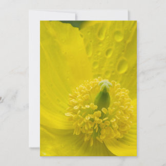 Invitación Amarillo oriental