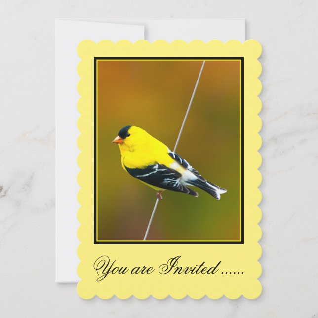 Invitación American Goldfinch - Fotografía original (Anverso)