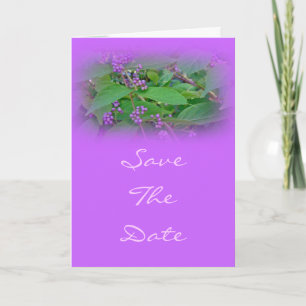 Invitación Americano Beautyberry (Callicarpa americana)