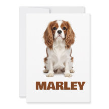 Amor Personalizado Nombre Amante Perros