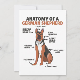 Invitación Anatomía De Un Cachorro De Pastor Alemán