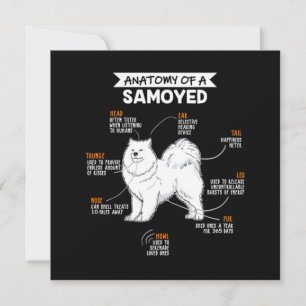 Invitación Anatomía De Un Perro Samoyado