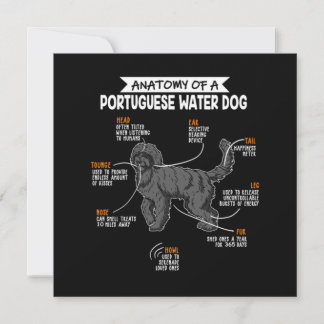 Invitación Anatomy Of A Portuguese Water Dog Dog Owner Gift