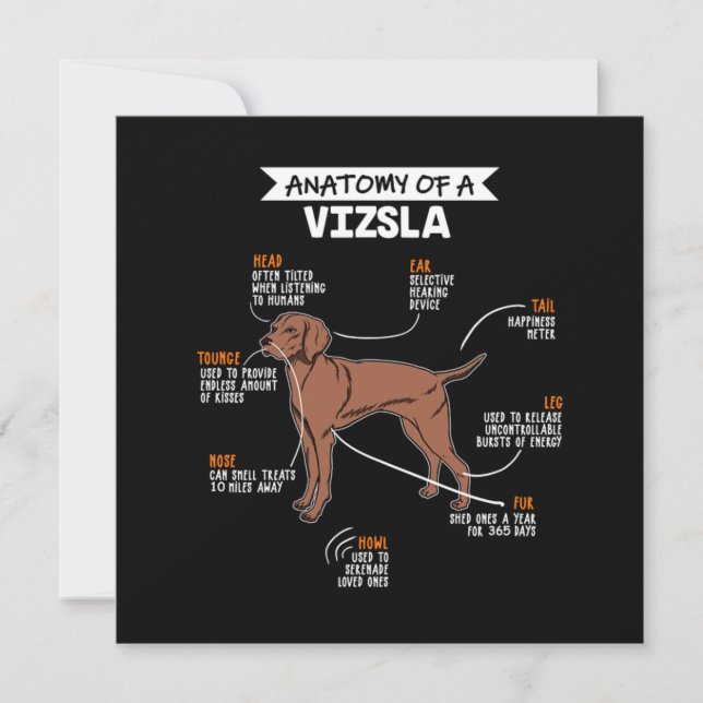 Invitación Anatomy Of A Vizsla Dog (Anverso)
