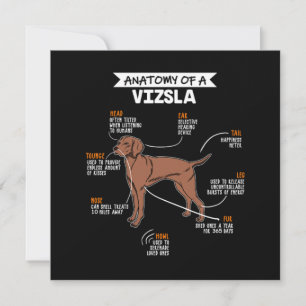 Invitación Anatomy Of A Vizsla Dog