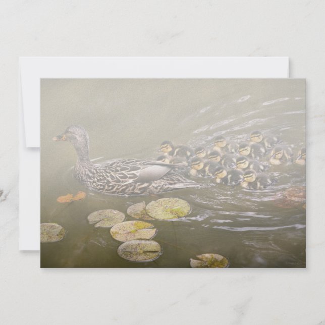 Invitación Animal - Patos - Nadar como un pato (Anverso)