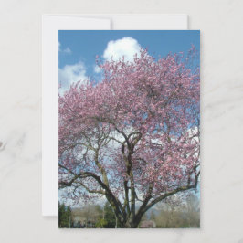 invitación aniversario árbol floración cerezo