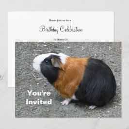 Invitación Aniversario de la foto de un cerdo de Guinea