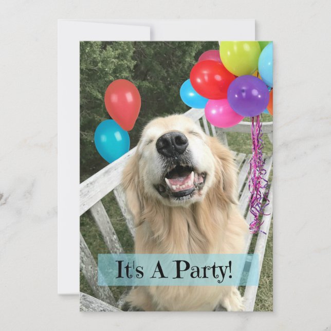 Invitación Aniversario del Personalizado de Golden Retriever  (Anverso)