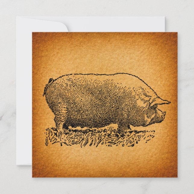 Invitación Antiguo Ilustracion de arte de cerdo de estilo occ (Anverso)