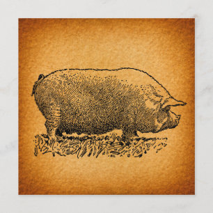 Invitación Antiguo Ilustracion de arte de cerdo de estilo occ