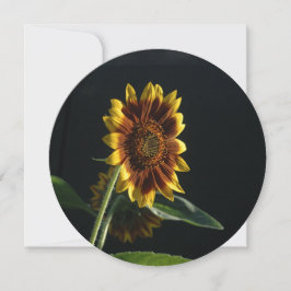 Invitación Aquí Viene El Girasol.