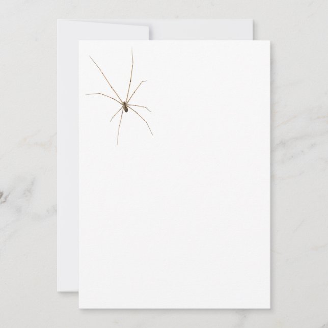 Invitación Araña (Anverso)