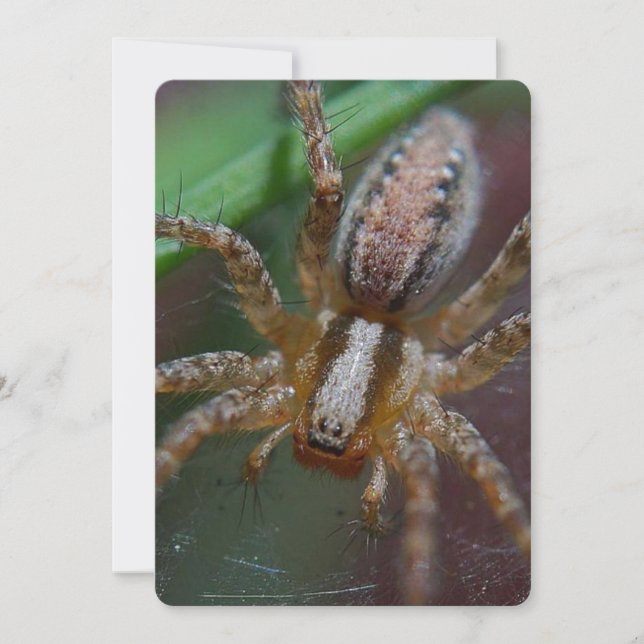 Invitación Araña enorme (Anverso)