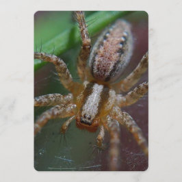 Invitación Araña enorme