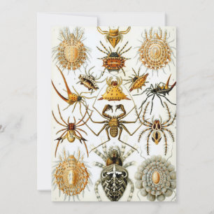 Invitación Arañas o arácnidos de Ernst Haeckel