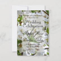 Árbol blanco florido Flores