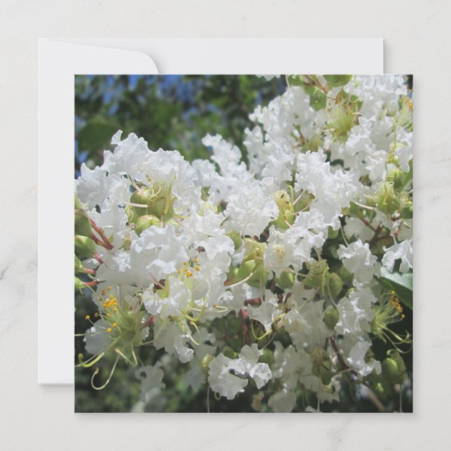 Invitación Árbol de músculos de la violación cerrado (Anverso)