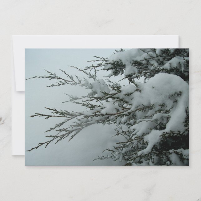 Invitación Árbol Evergreen De Boda De Invierno Con Nieve (Anverso)