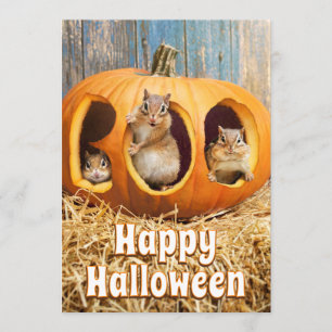 Invitación Ardillas dentro de una Jack-o-Lanterna