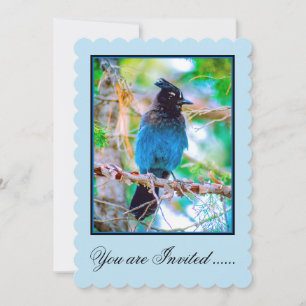 Invitación Arrendajo de Steller - Fotografía Original