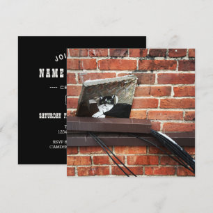 Invitación arte de gato callejero