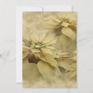 Invitación Arte digital de poinsettias de color crema